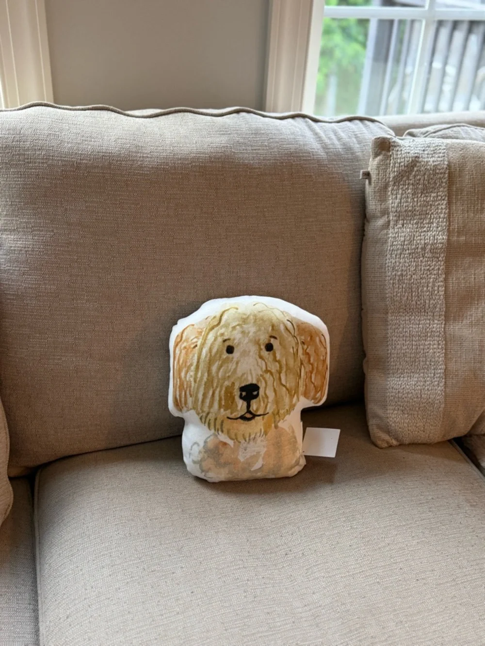 NWT Doodle Dog Face Decorative Pillow - Cream & Tan